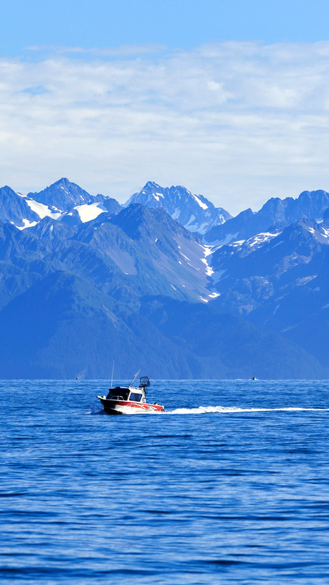 Kenai Fjords National Park, Alaska, USA screenshot
