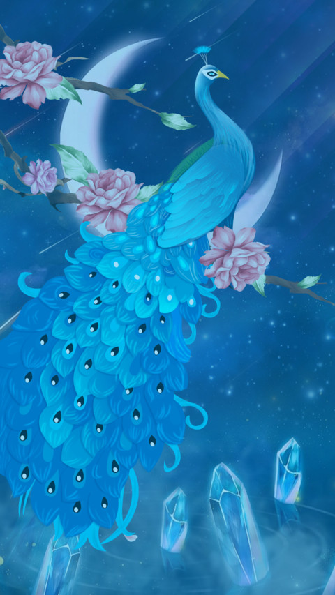 孔雀 screenshot