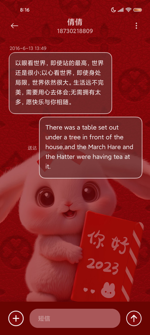 新年小萌兔动态烟花 screenshot