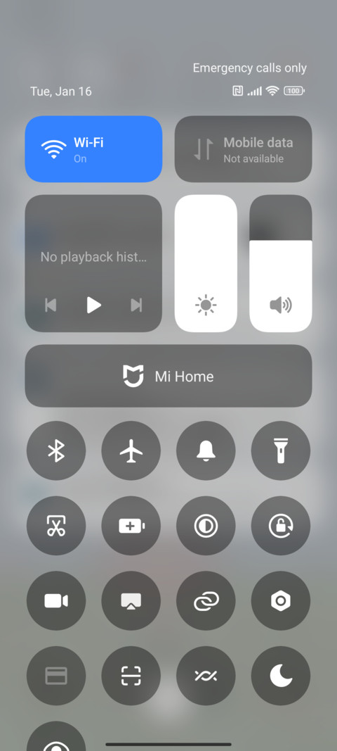 Photo with tulips screenshot
