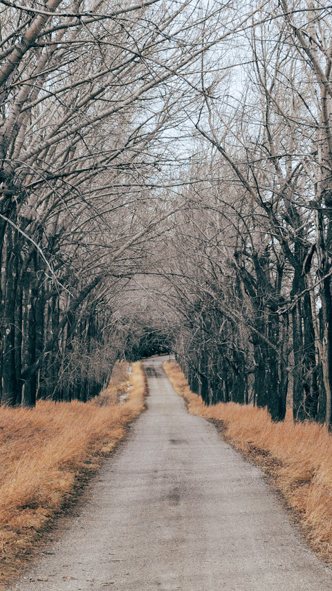 road (9) screenshot