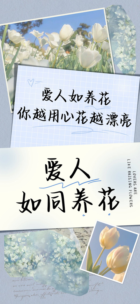 爱人如同养花 screenshot