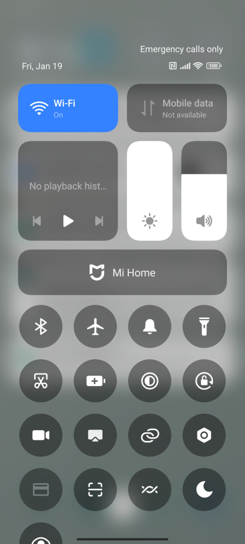 Playful Owl screenshot