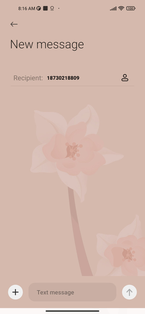 Spring branch screenshot