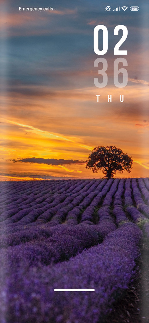 Flower_lavender screenshot