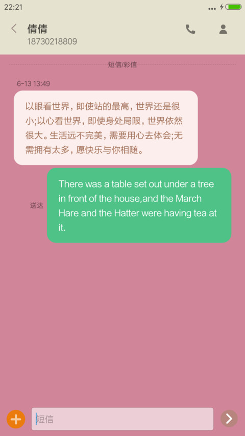 许愿大黑猫 screenshot