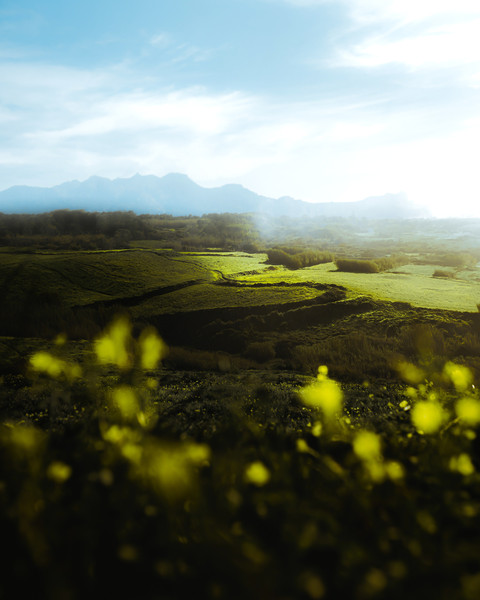 Portugal screenshot