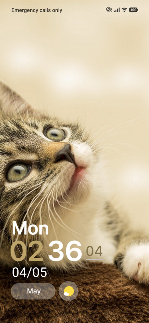 Purrfect Moments screenshot