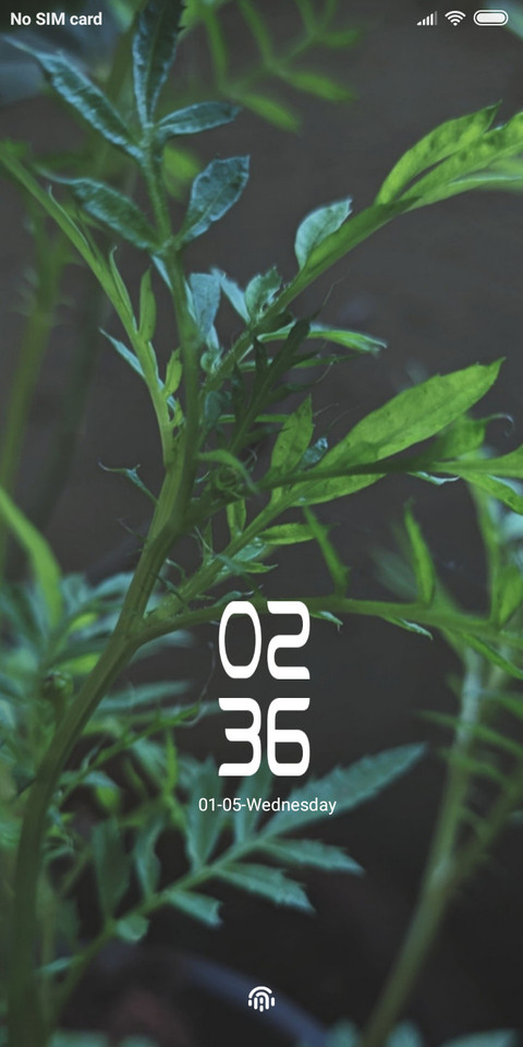 New Plant_DWM2 screenshot