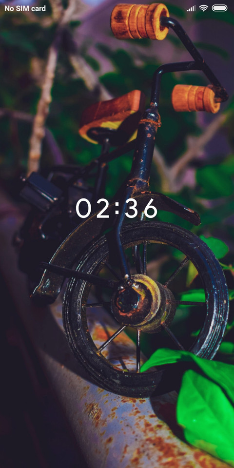 Bicycle_DWM2 screenshot