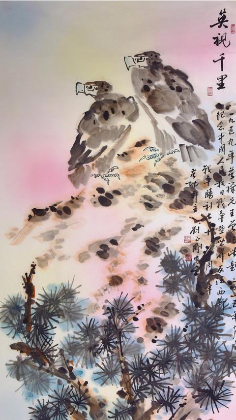 刘正刚：动静两相宜 screenshot