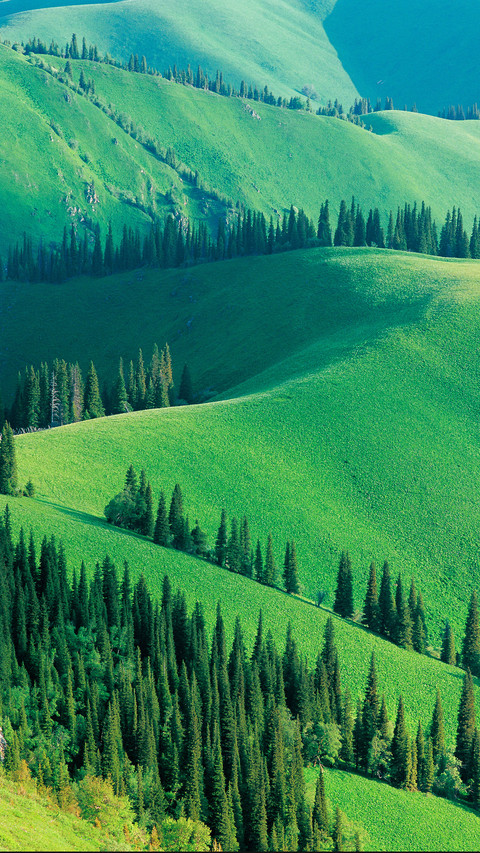 The earth is turning green 21 screenshot