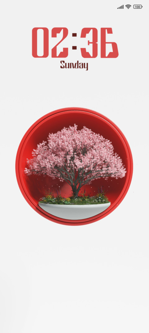 Blossom Beauty screenshot