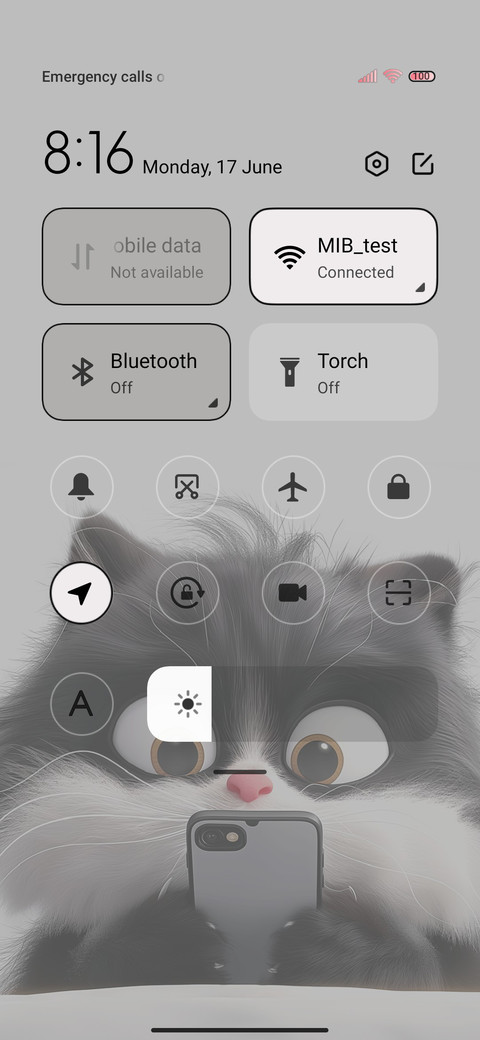 Cute black cat screenshot