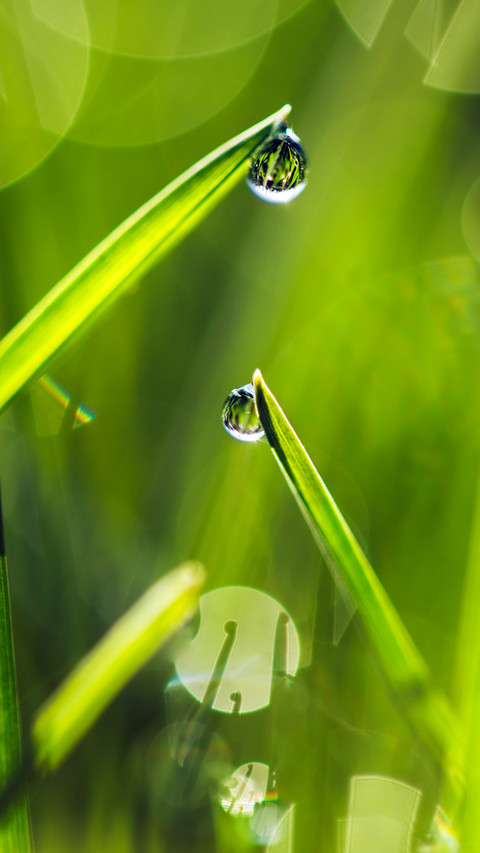 雨水 screenshot