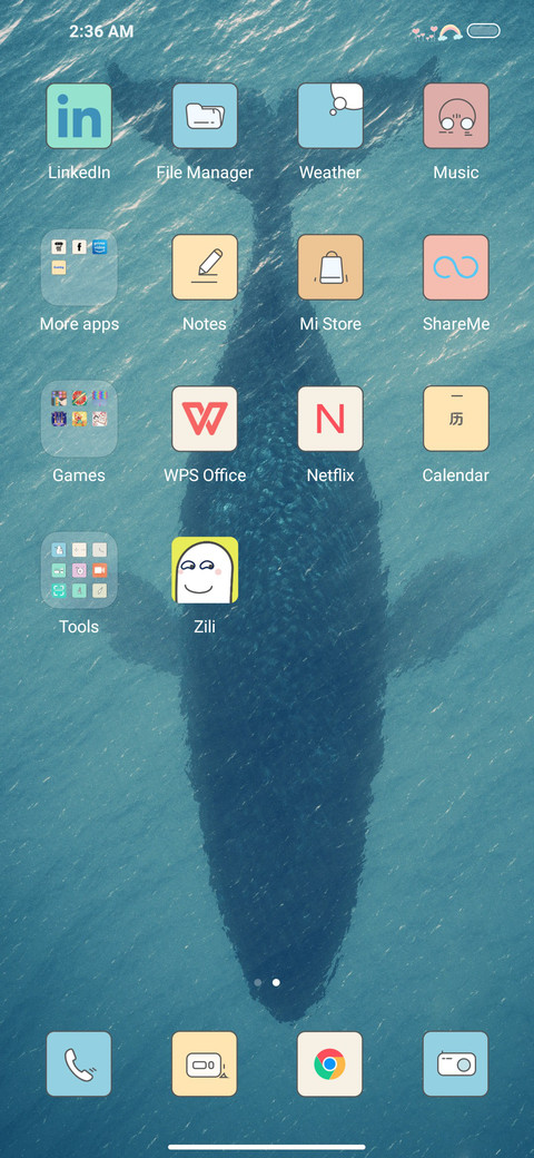 Big fish screenshot