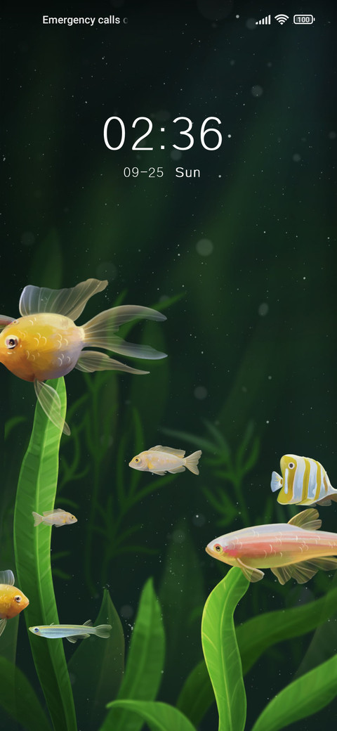 Quping+Aquarium screenshot