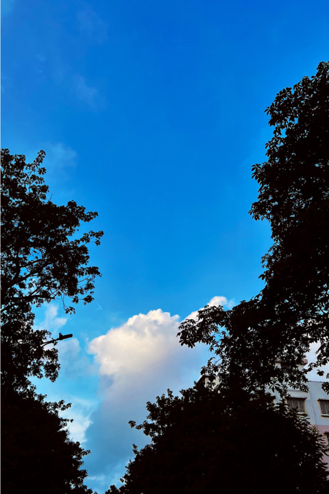 Silhouette.png screenshot