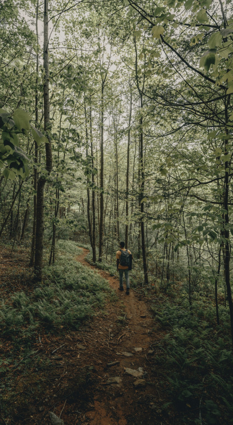 Beautiful Journey (12) screenshot