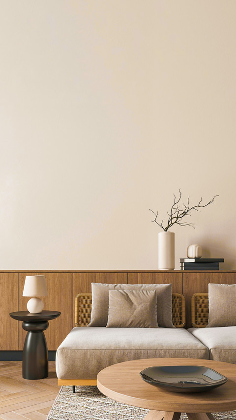 Modern minimalism, scandinavian style, living room interior screenshot
