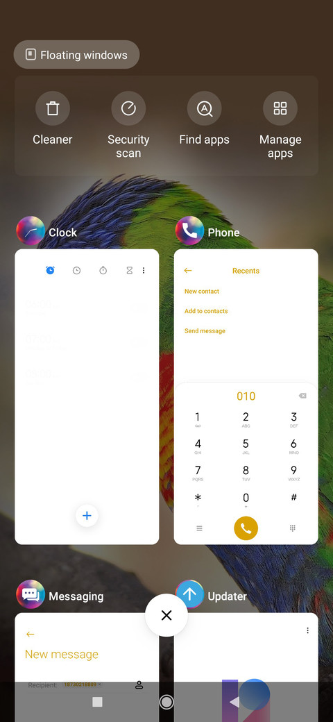 RainbowLorikeet_3MDS screenshot