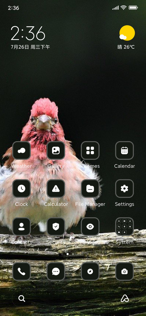 Bird screenshot