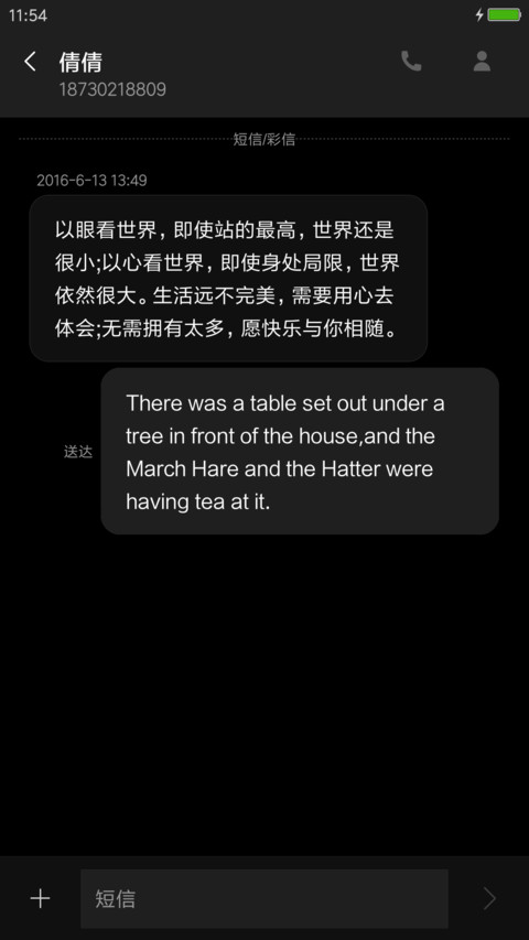 简单黑白 screenshot