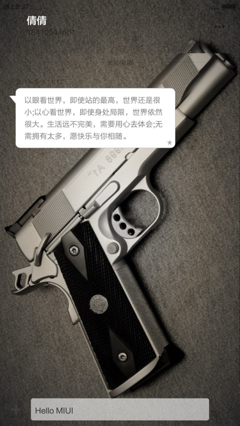 枪之简约~IOS8解锁 screenshot