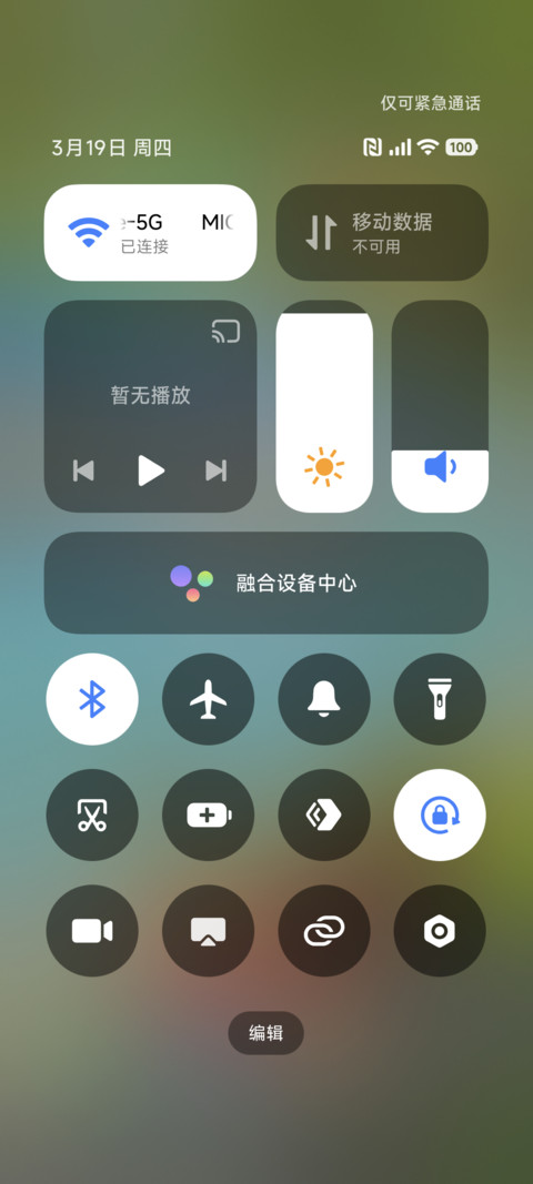 清新简约绿荫春岸 screenshot
