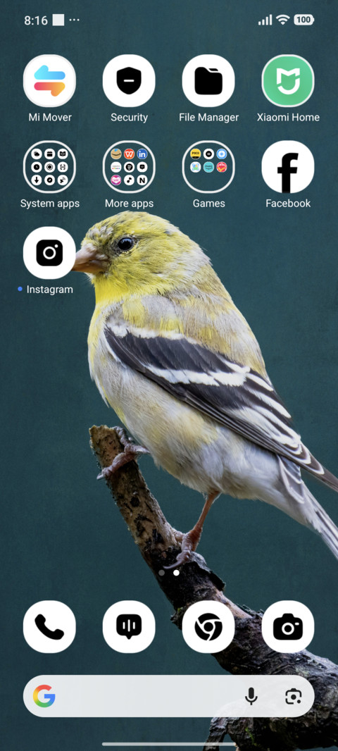 Forest Echo screenshot
