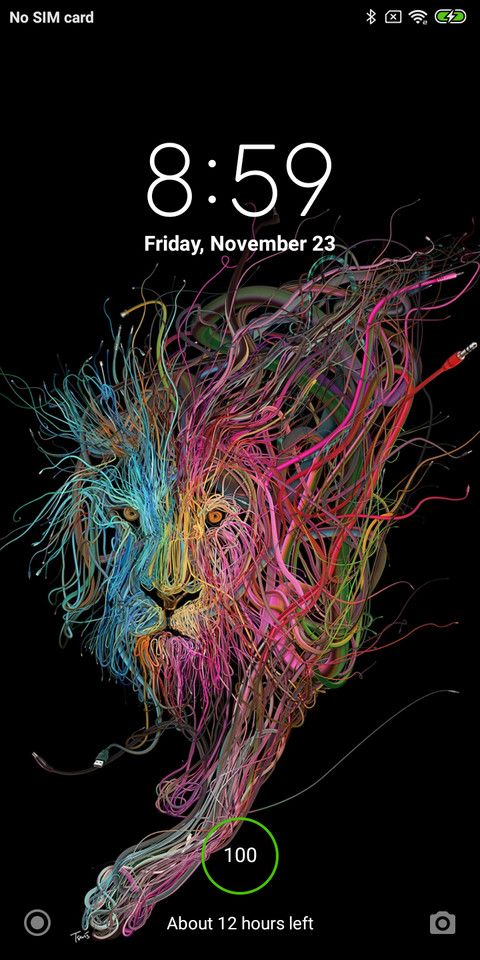 Lion V10 screenshot