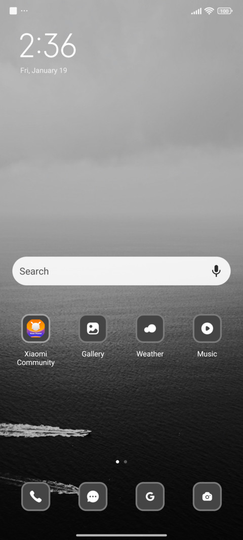 Grayscale screenshot