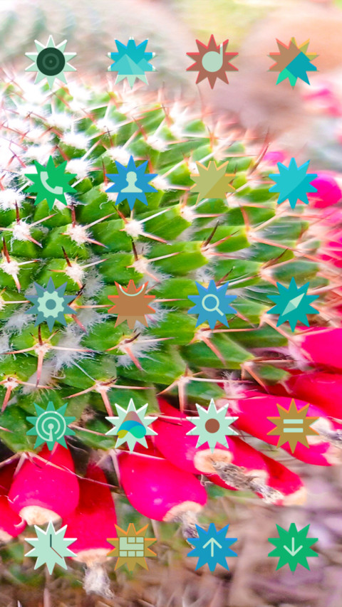 Modified Cactus_DWM3 screenshot