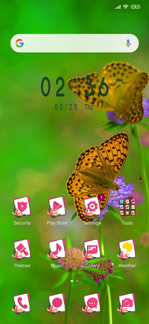 Butterfly on flower_3MDP screenshot