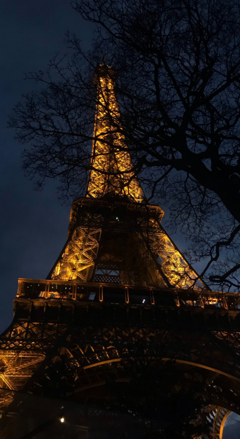 Paris (12) screenshot