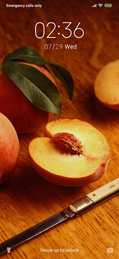 Peach - Fruit_3MDS screenshot