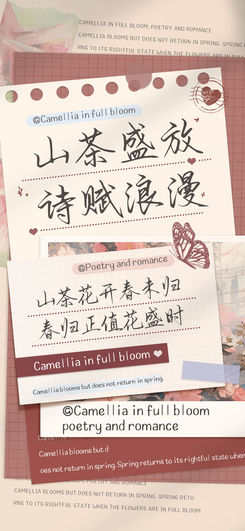 山茶盛放诗赋浪漫 screenshot