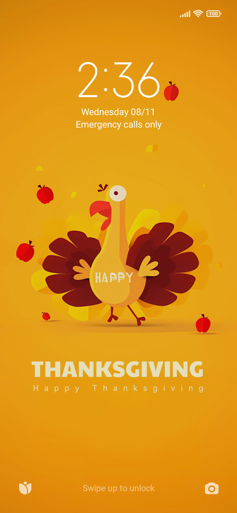 ThanksgivingTurkey screenshot