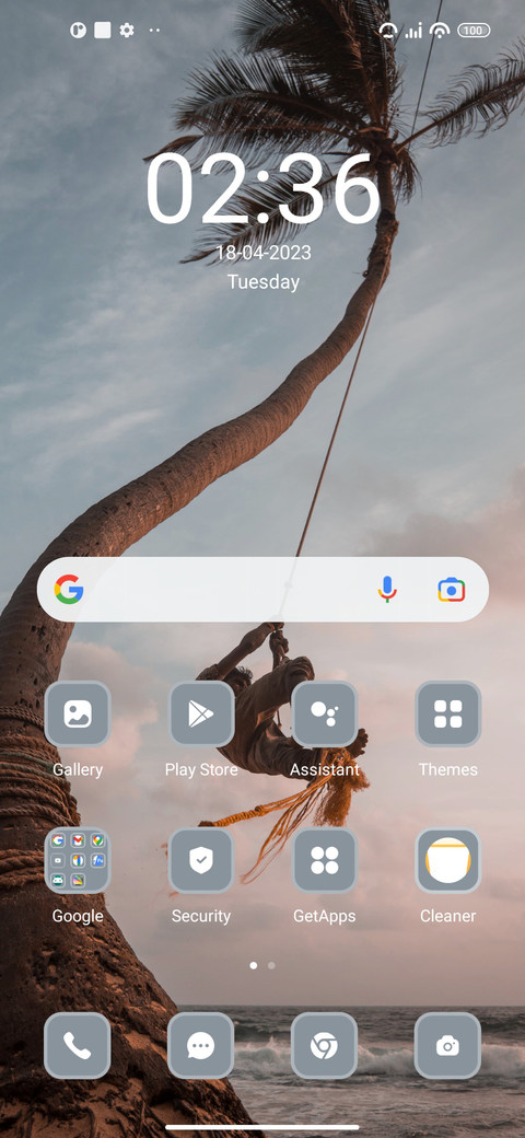 Cocunut Tree screenshot