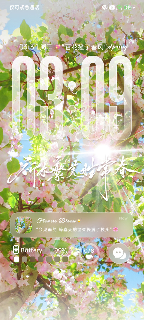 ins百花撞了春风 screenshot