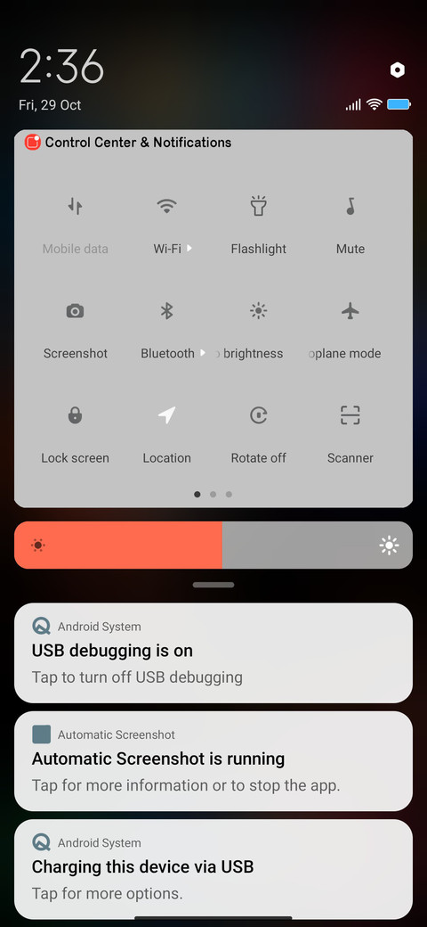 P_One Version 3 screenshot