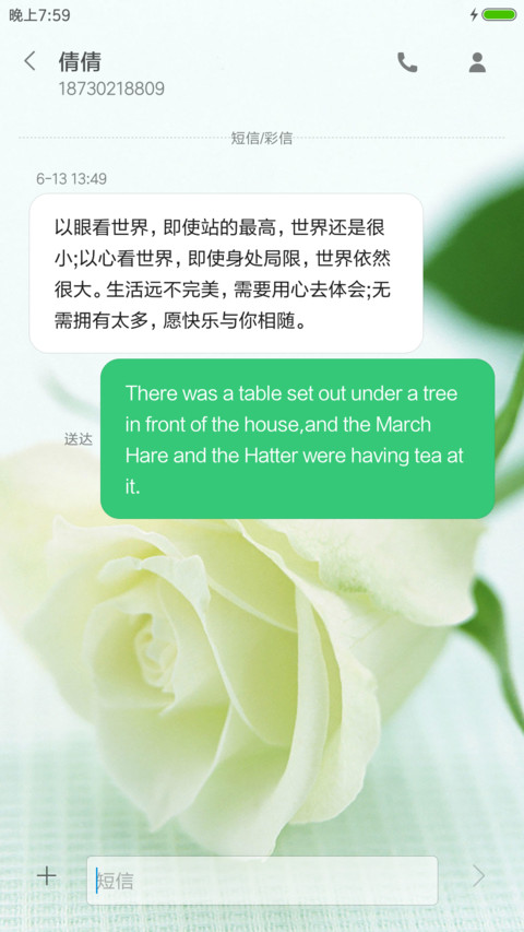 白色玫瑰 screenshot