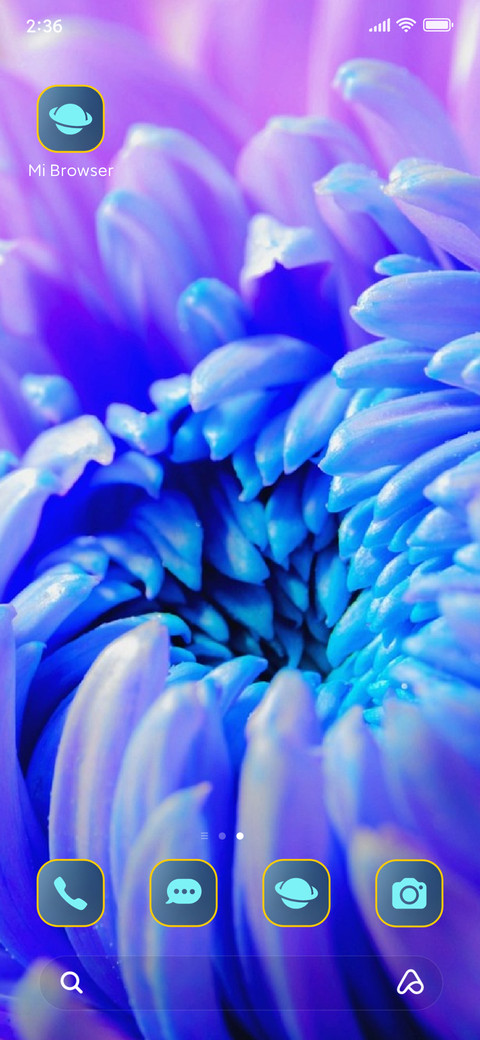flowers beatiful screenshot