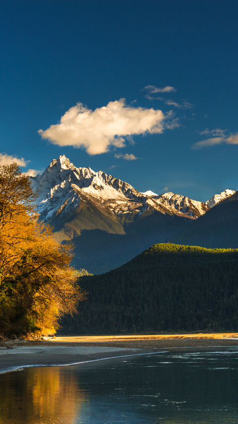Mountains and bright autumnal forest screenshot