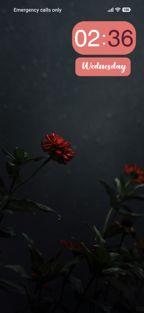 Red Flower screenshot