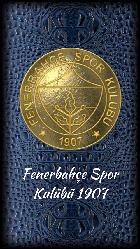 FB FENERBAHCE SPOR 1907 screenshot