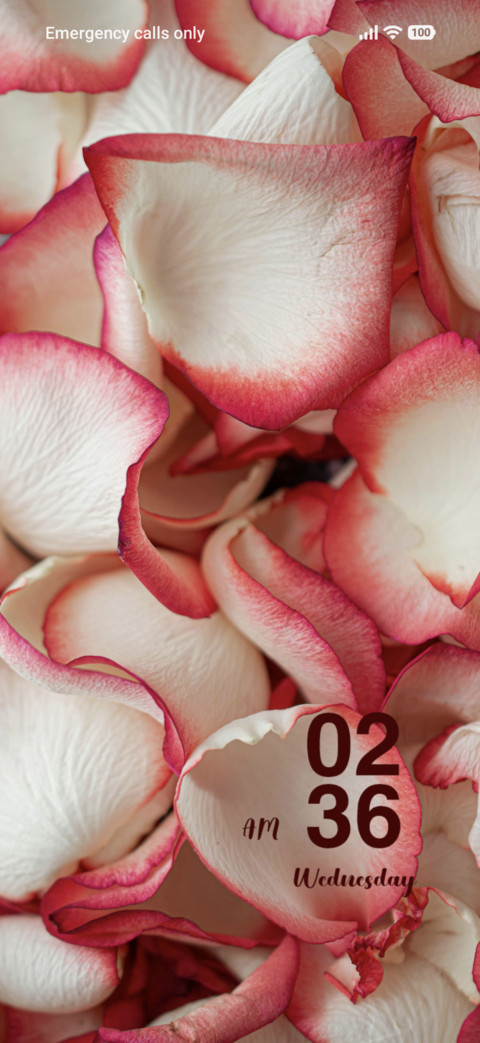 Rose Petals screenshot