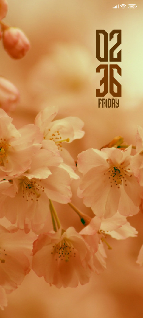 Cherry Blossom screenshot