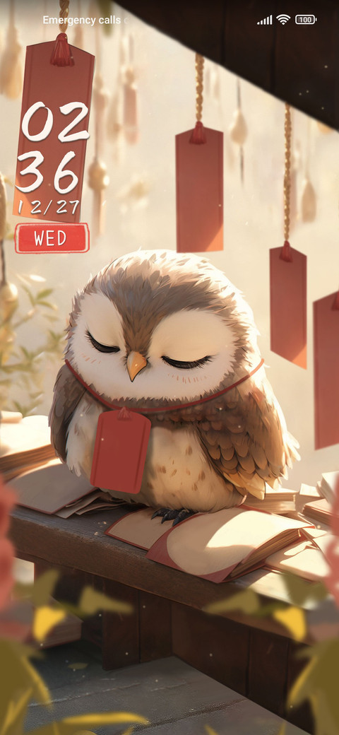 Early+Sleeping+Owl screenshot