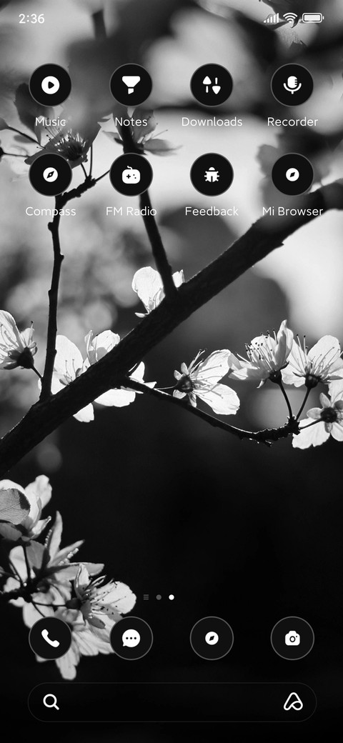 Fern Path screenshot